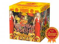 Красивая жизнь Фейерверк купить в Снежногорске | snezhnogorsk.salutsklad.ru