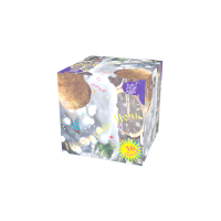 Новогодняя ночь Салют купить в Снежногорске | snezhnogorsk.salutsklad.ru