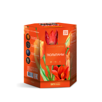 Тюльпаны Салют купить в Снежногорске | snezhnogorsk.salutsklad.ru