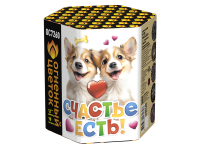 Счастье есть! Салют купить в Снежногорске | snezhnogorsk.salutsklad.ru