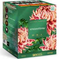 Хризантемы Фейерверк купить в Снежногорске | snezhnogorsk.salutsklad.ru