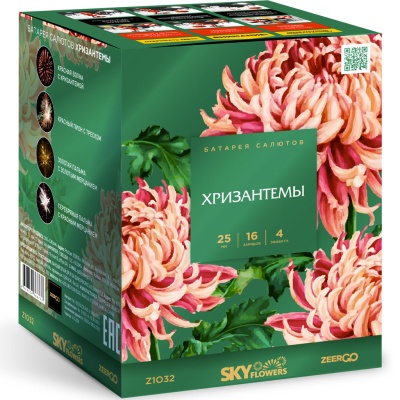 Хризантемы Фейерверк купить в Снежногорске | snezhnogorsk.salutsklad.ru