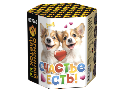 Счастье есть! Салют купить в Снежногорске | snezhnogorsk.salutsklad.ru