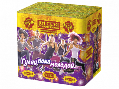 Гуляй, пока молодой Салют купить в Снежногорске | snezhnogorsk.salutsklad.ru